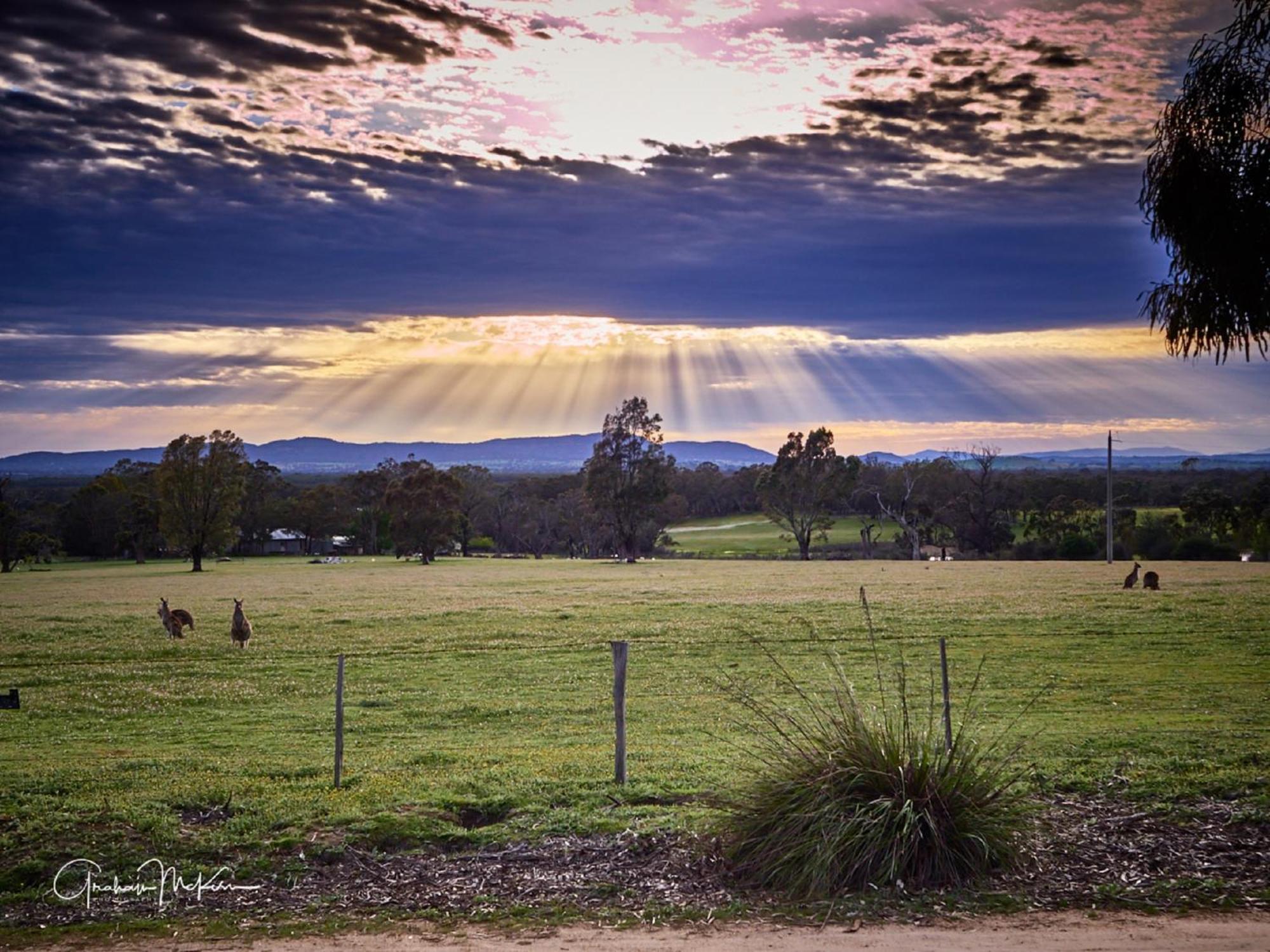 Grampians Pioneer Cottages Halls Gap Exteriér fotografie