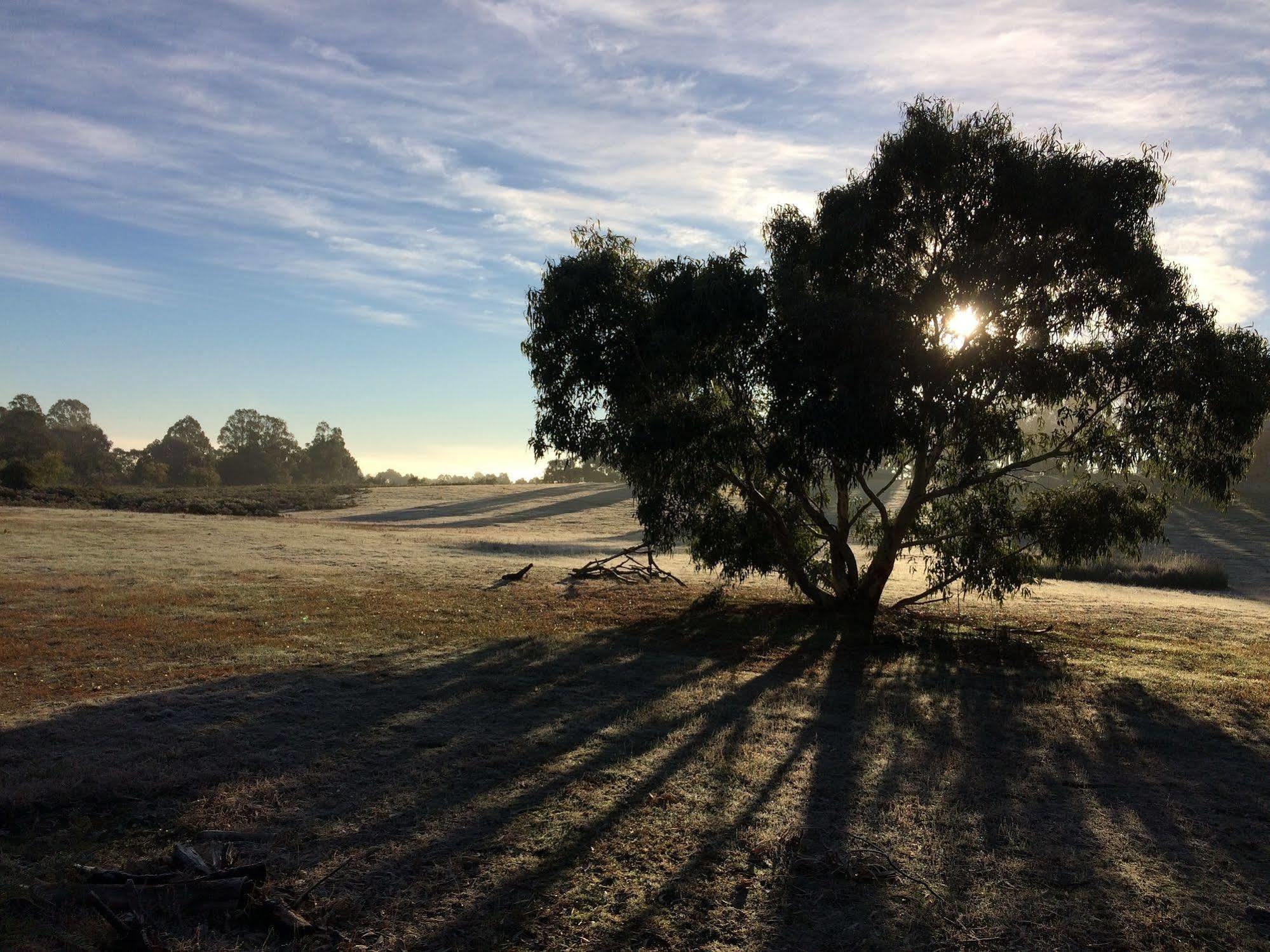 Grampians Pioneer Cottages Halls Gap Exteriér fotografie